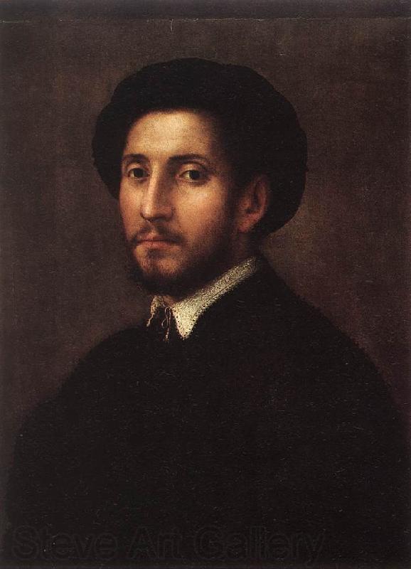 FOSCHI, Pier Francesco Portrait of a Man sdgh Spain oil painting art